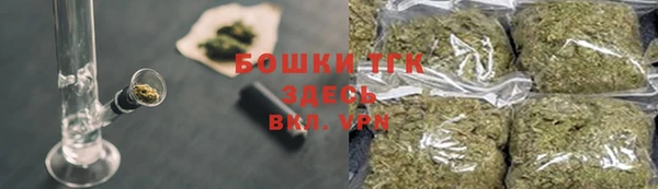 прущие грибы Абдулино