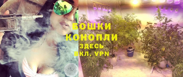 прущие грибы Абдулино