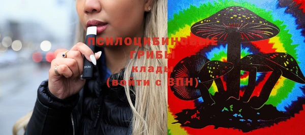 прущие грибы Абдулино