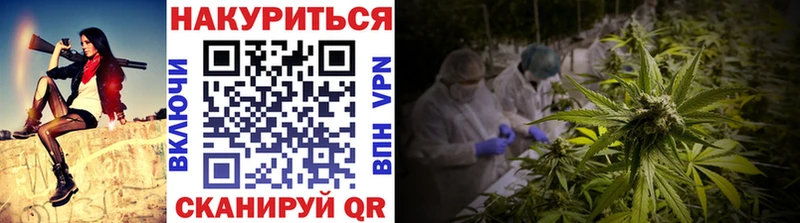 ссылка на мегу ТОР  купить закладку  Котлас  Конопля AK-47 